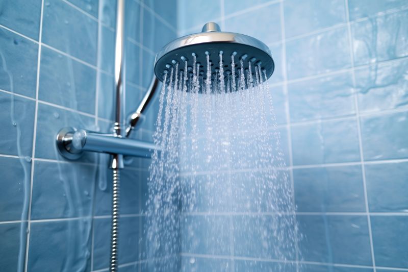 Spa-Style Showerhead